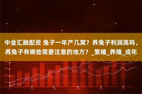 中金汇融配资 兔子一年产几窝？养兔子利润高吗，养兔子有哪些需要注意的地方？_繁殖_养殖_成年