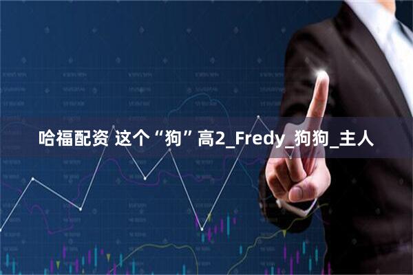 哈福配资 这个“狗”高2_Fredy_狗狗_主人