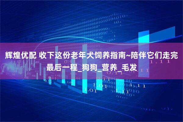 辉煌优配 收下这份老年犬饲养指南~陪伴它们走完最后一程_狗狗_营养_毛发
