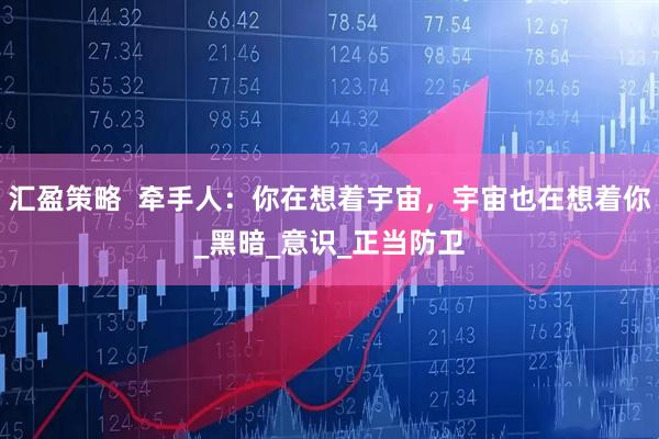 汇盈策略  牵手人：你在想着宇宙，宇宙也在想着你_黑暗_意识_正当防卫