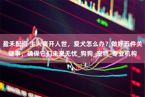 盈禾配资 主人离开人世，爱犬怎么办？做好五件关键事，确保它们未来无忧_狗狗_宠物_专业机构