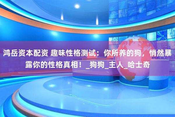 鸿岳资本配资 趣味性格测试：你所养的狗，悄然暴露你的性格真相！_狗狗_主人_哈士奇