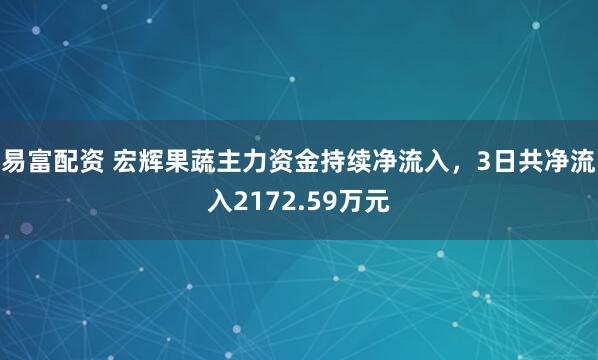 易富配资 宏辉果蔬主力资金持续净流入，3日共净流入2172.59万元