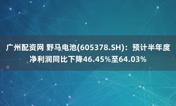 广州配资网 野马电池(605378.SH)：预计半年度净利润同比下降46.45%至64.03%