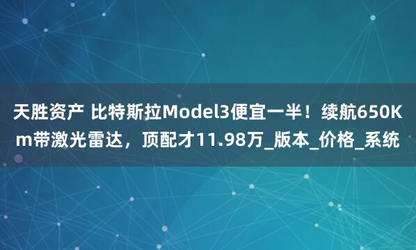 天胜资产 比特斯拉Model3便宜一半！续航650Km带激光雷达，顶配才11.98万_版本_价格_系统