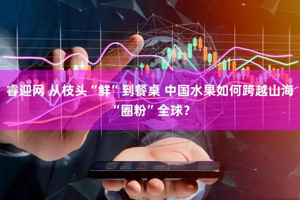 睿迎网 从枝头“鲜”到餐桌 中国水果如何跨越山海“圈粉”全球？