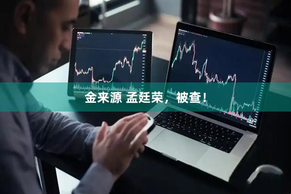 金来源 孟廷荣，被查！