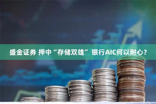 盛金证券 押中“存储双雄” 银行AIC何以耐心？